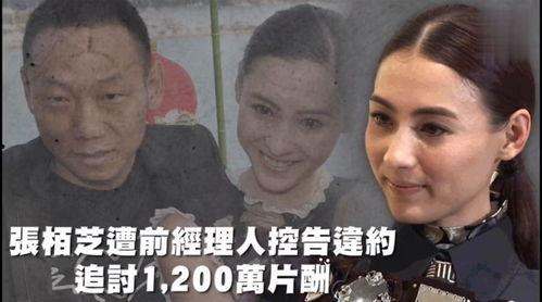 娱乐吃瓜歌曲叫什么,歌曲中的欢乐盛宴