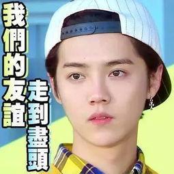 娱乐圈吃瓜手册真的假的,揭秘真假传闻背后的真相
